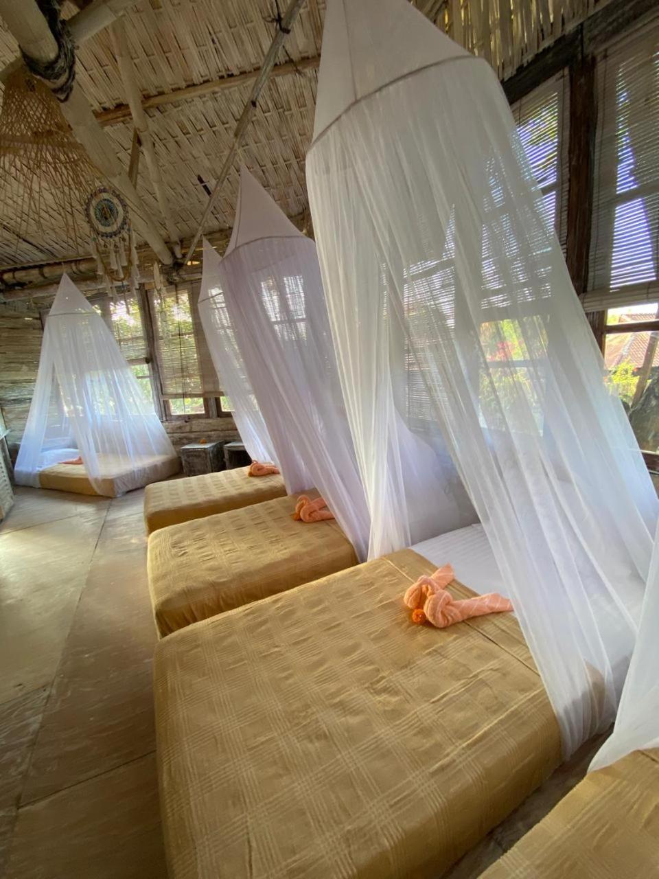 ฟังกี้เพลซ Hostel โลวินา ภายนอก รูปภาพ